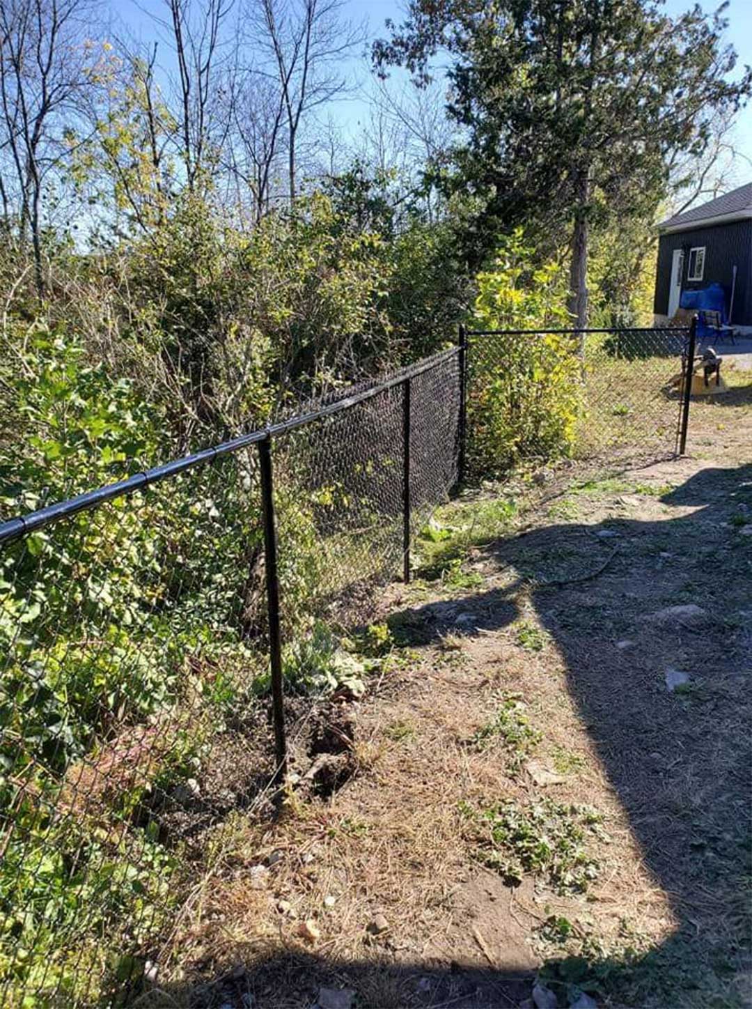 chain link fencing in backyard