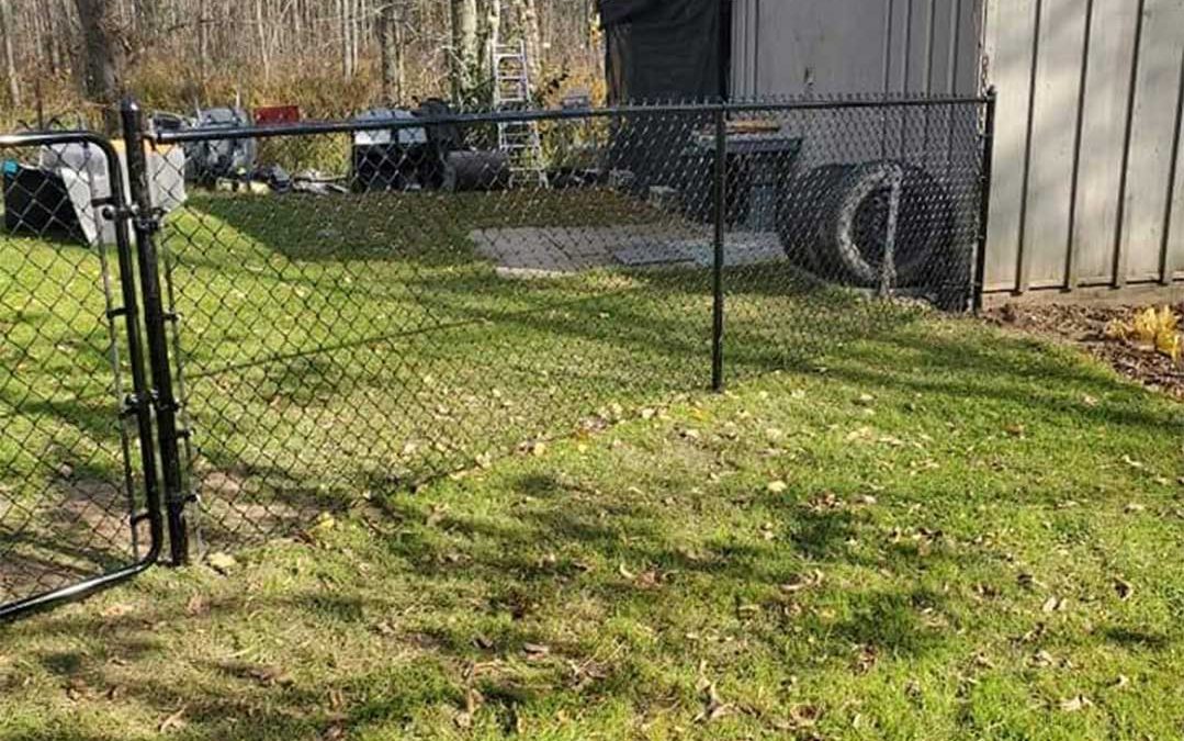 chain link fencing with gate