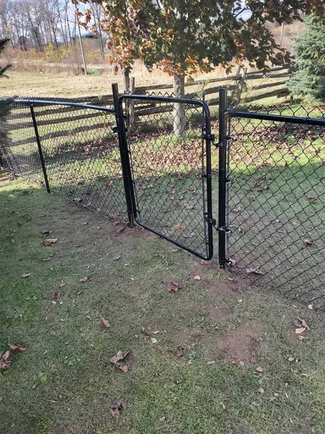 chain link fencing with gate