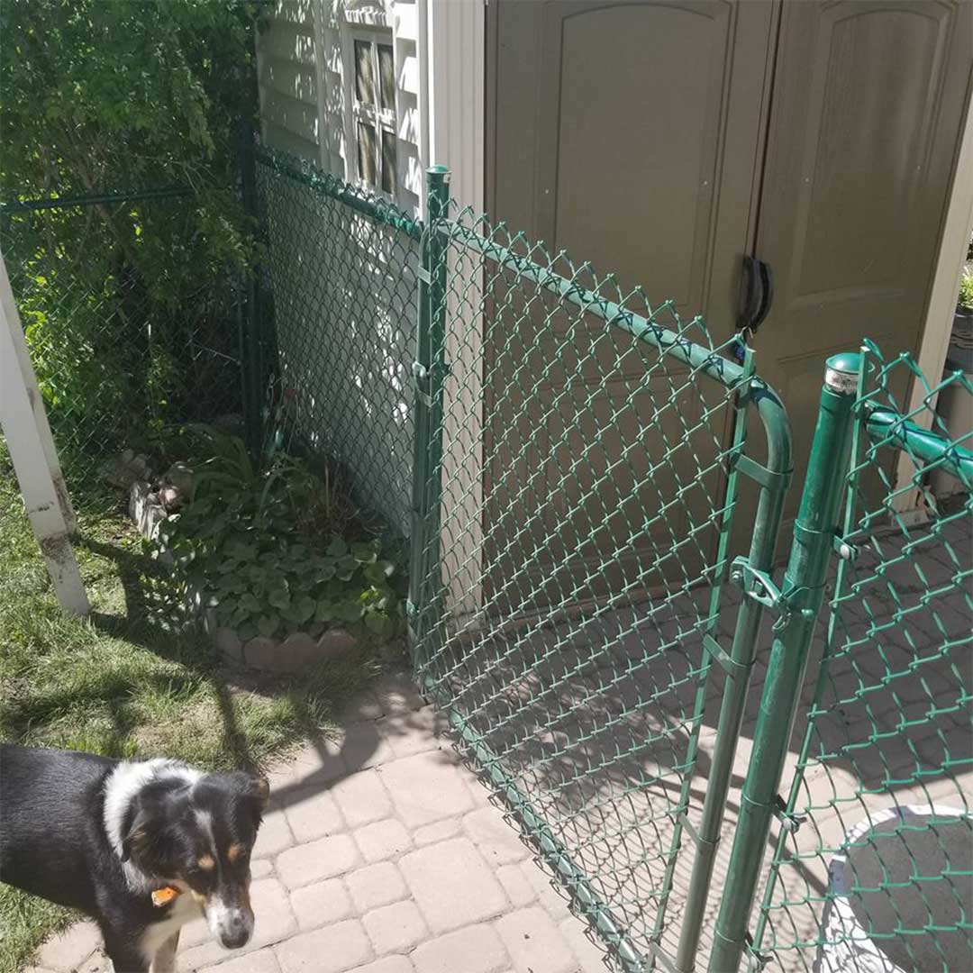 chain link fence with gate to keep dog in